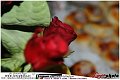 001TechnoFitness_Party_LovePhoto_01062011